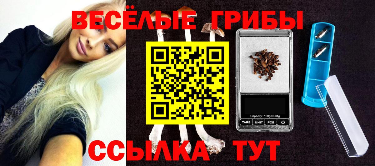 Якутск  Галлюциногенные грибы MAGIC MUSHROOMS  Вход с VPN 